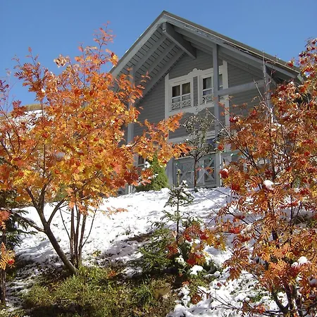 Chalet En Bois A La Foux D'allos Allos